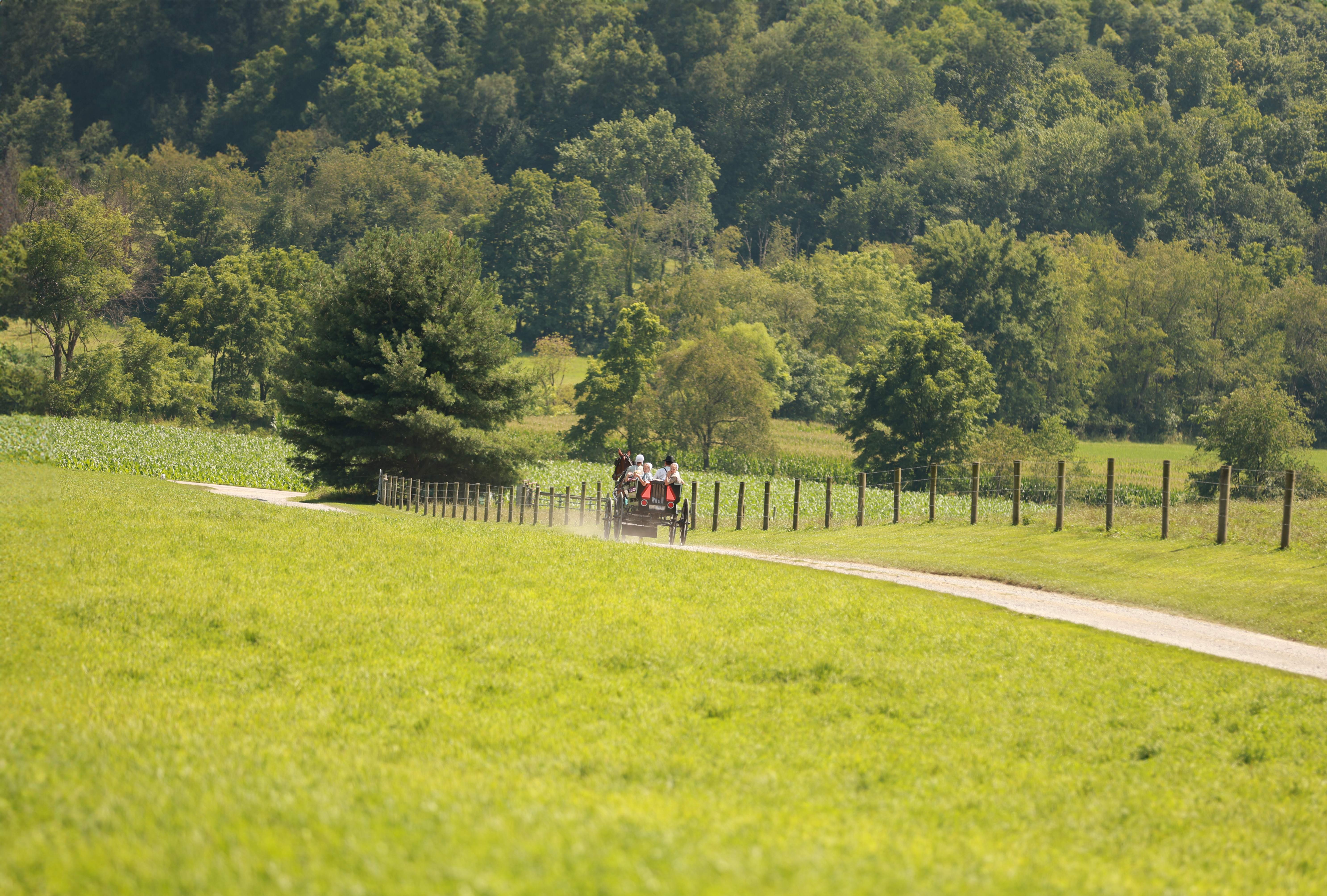 Anabaptist Health Ministries